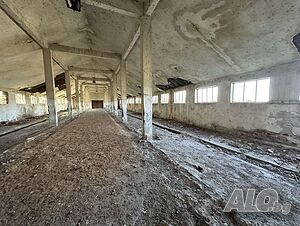 image_6