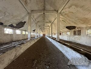 image_8