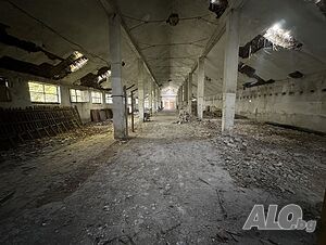 image_11