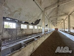 image_14