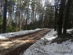 image_6