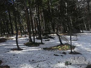 image_8