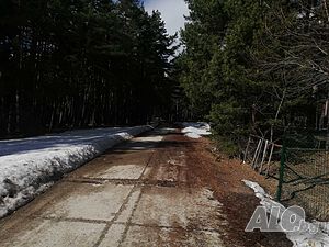 image_9
