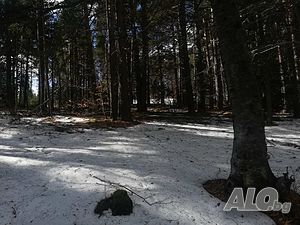image_10