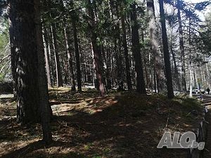 image_11