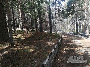 image_12