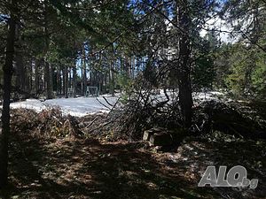image_13