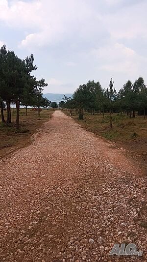 image_9