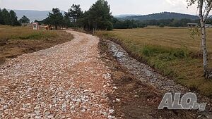 image_12