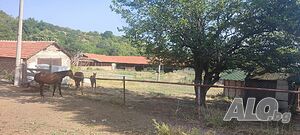 image_9