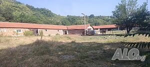 image_11