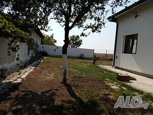 image_11