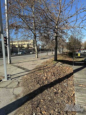 image_13