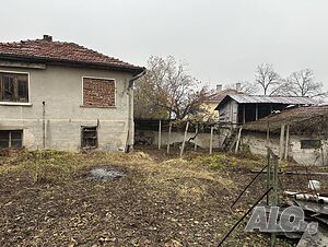 image_12