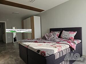 image_5