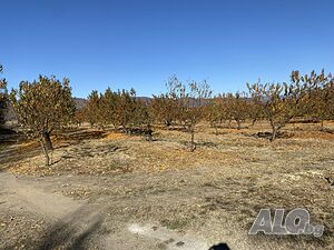 image_7