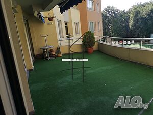image_6