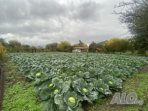 Продавам имот с голямо дворно място.