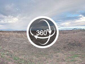 62 декара пасища до село Голям Чардак