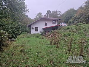 image_11