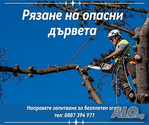 Рязане, кастрене, отсичане, премахване, на опасни дървета и клони в гр. Пловдив, обл. Пловдив