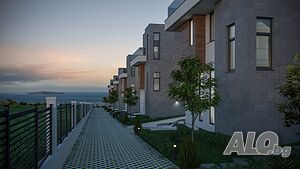 image_11