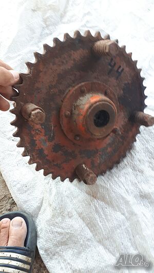 image_7