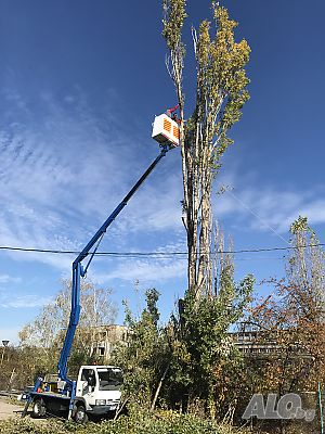 Рязане на опасни дървета. СОФИЯ!