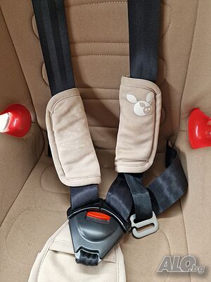 image_6