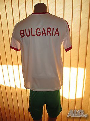 image_8