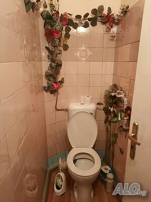 image_11