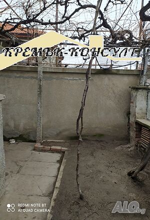 image_8