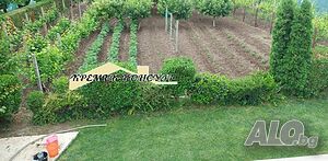 image_15