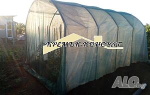 image_4