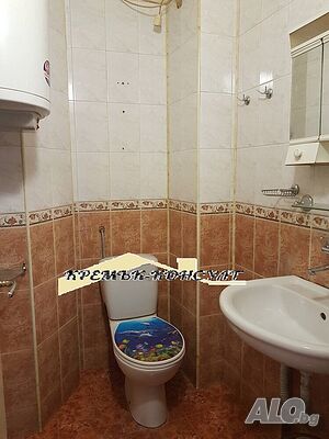 image_11