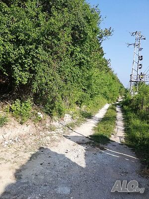 image_15
