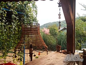 image_12