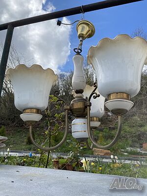 image_2