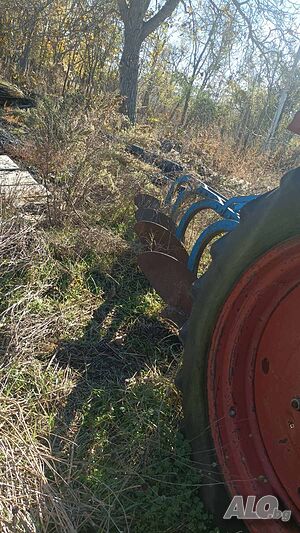 image_5