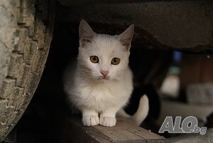 Фотосесии/Фотография