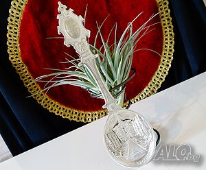 Лъжица от калай 91 г., замък, калаена сватба