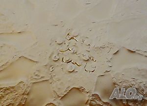 image_7