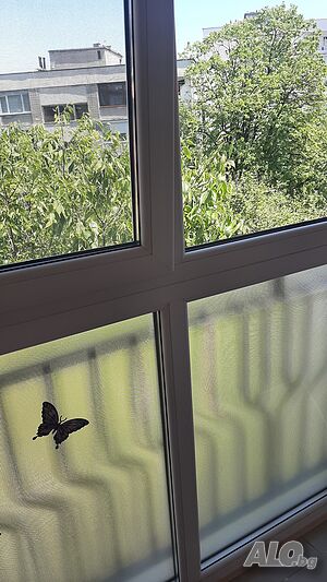 image_52