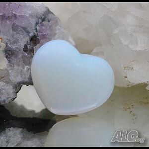 image_8