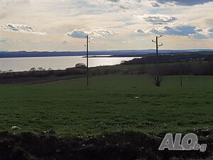 image_6