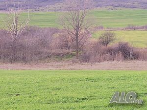 image_9
