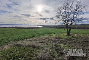 image_11