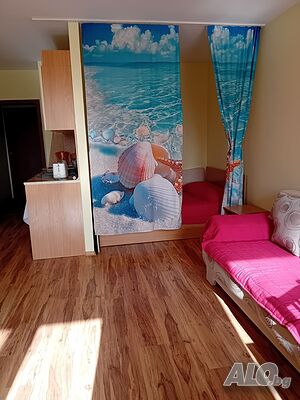 image_12