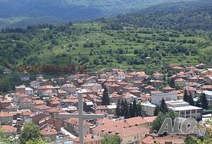 image_13