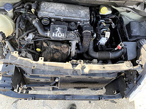 image_7
